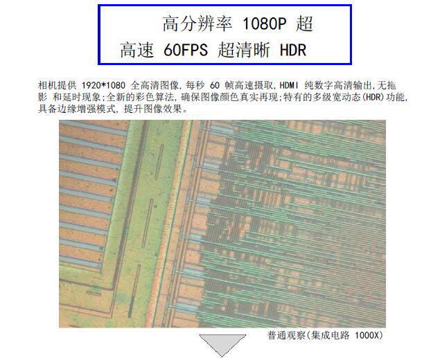 HDMI-200ZD 自動(dòng)對焦相機(jī) 攝像頭 CCD HDMI高清攝像頭 實(shí)時(shí)對焦